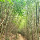 직포마을 화장실 이미지