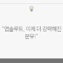 앱솔루트