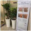 진스킨바디