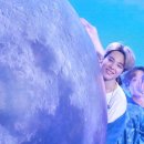 지민71 이미지