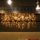 송원애견의집 이미지