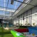 해마루 | 포천 아이와 가볼만한곳 해마루 딸기농원 솔직후기