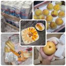 (주)누리팜 | 주간택배일기 잇메이트 닭가슴살 소시지, 배, 복숭아, 나랑드사이다 등 후기