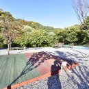 삼화힐링타운2 이미지