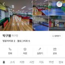 붐탁구