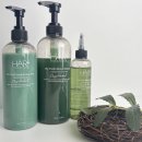 집케어 | 탈모비듬샴푸 추천 집에서 하는 두피케어 후기