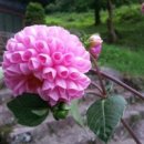 큰소리 이미지
