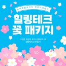 미래테크 | [전북특별자치도 청년미래센터] 힐링테크 꽃 패키지 프로그램 후기