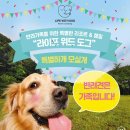 라이프위드도그 이미지