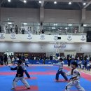 매현태권도 이미지