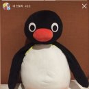 해룡세탁소 이미지