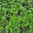 바산목장 이미지