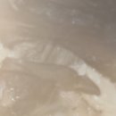 유다리길 이미지