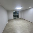 망고클린서비스