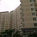 SK허브수 이미지