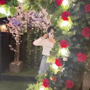 하대동245 | 진주 하대동 맛집 감탄바베큐 진짜 감탄이 나오는 곳