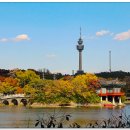 두류공원 이미지