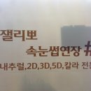 잴리뽀 속눈썹 이미지