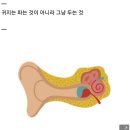 면봉으로 깨끗이 귓속 청소…&#39;곰팡이 소굴&#39; 됐다 이미지