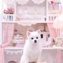 (주)벤하우스 이미지