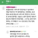 완숙미인토마토