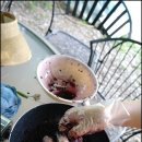 그린토피아 이미지