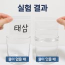빛의물 이미지