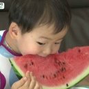 수박헤어