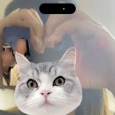 배꼽노래연습장 이미지