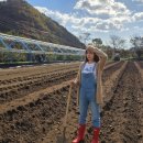 토고미농장 이미지