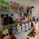 해피 애견 놀이방 이미지