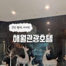 월미도해월관광호텔 | 인천 월미도 아이랑 해월관광호텔(온돌방)