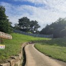 신기리 고분군 이미지