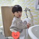 대소변가리기 훈련중!! 🚽 이미지