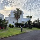 위드유애월 이미지