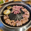 마시레흑돈