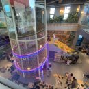 도도리파크(실외) 이미지