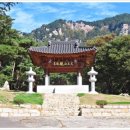 홍준
