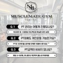 메이트 피티 이미지