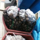 거창사과원예농협하나로마트 이미지