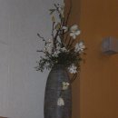 우림교회 이미지