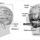 현명신경외과의원 이미지