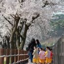 용암3길 이미지