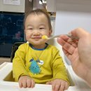돌아기간식 국산과일로 만든 프레벨롱 아기퓨레