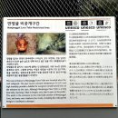여름. 제주 | 제주 만장굴 후기| 여름에 꼭 가볼 만한 제주 실내 관광지