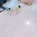 다희연 | 제주 짚라인 후기 다희연 짚라인!