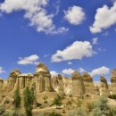 화이트벨리 이미지