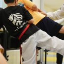 경희대태권도 이미지