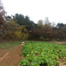 2015슬로푸드농부상&lt;가족농,자연농,토종씨앗,아시아청년농부 부문&gt;