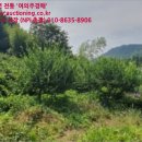 회성동267 이미지